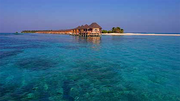 British honeymooners killed in the Maldives