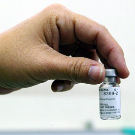 HIV vaccine prototype