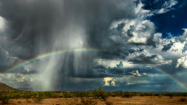 Arizona desert storm (Getty)