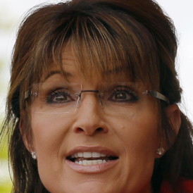 Sarah Palin will not seek the Republican US presidential nomination in 2012, ending months of speculation and leaving the Republican field largely settled (Reuters)