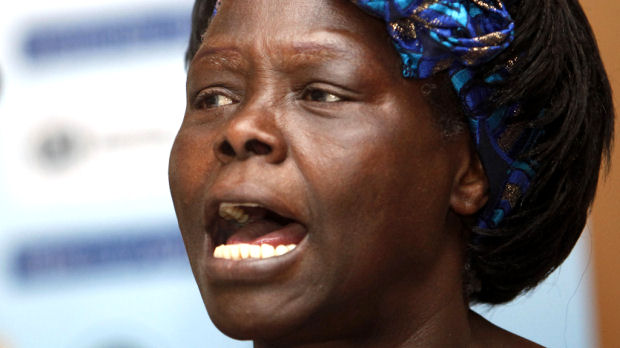 Kenyan Nobel Peace Prize winner and environmentalist Wangari Maathai has died in hospital, where she was being treated for cancer. She was 71.