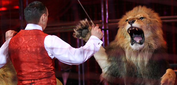 Lion tamer and lion at circus in Moscow 