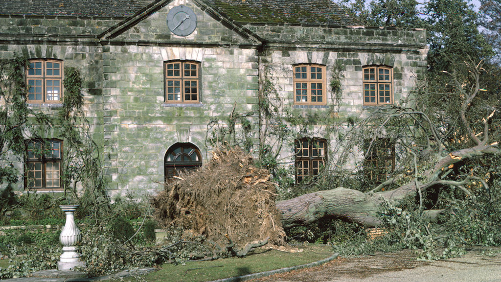 The Great Storm of 1987: 25 years on (Wakehurst Place).