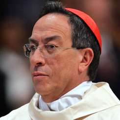 Cardinal Oscar Rodriguez Maradiaga (picture: Reuters)