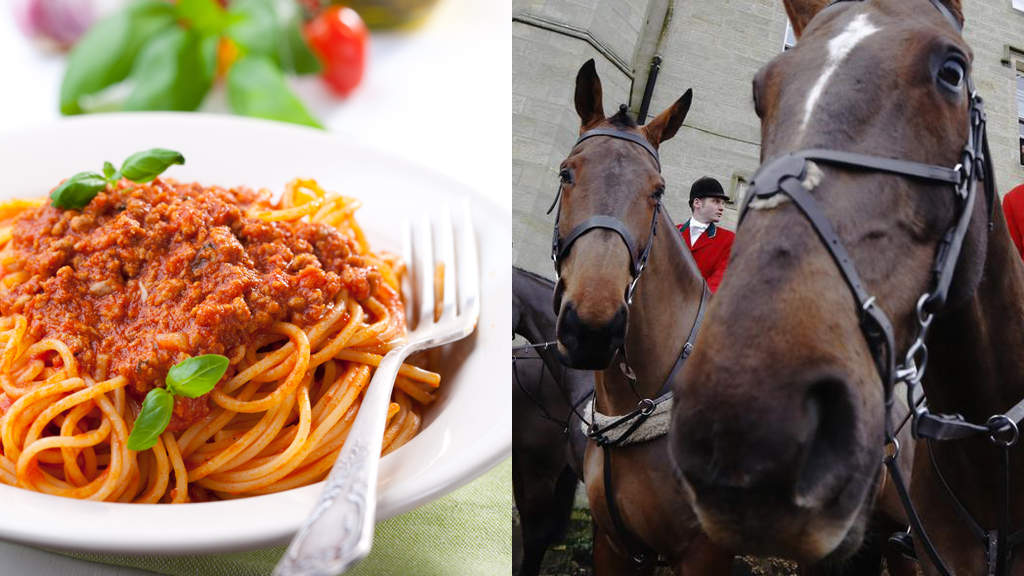 Ban on cheap meat blamed for horsemeat scandal (R)