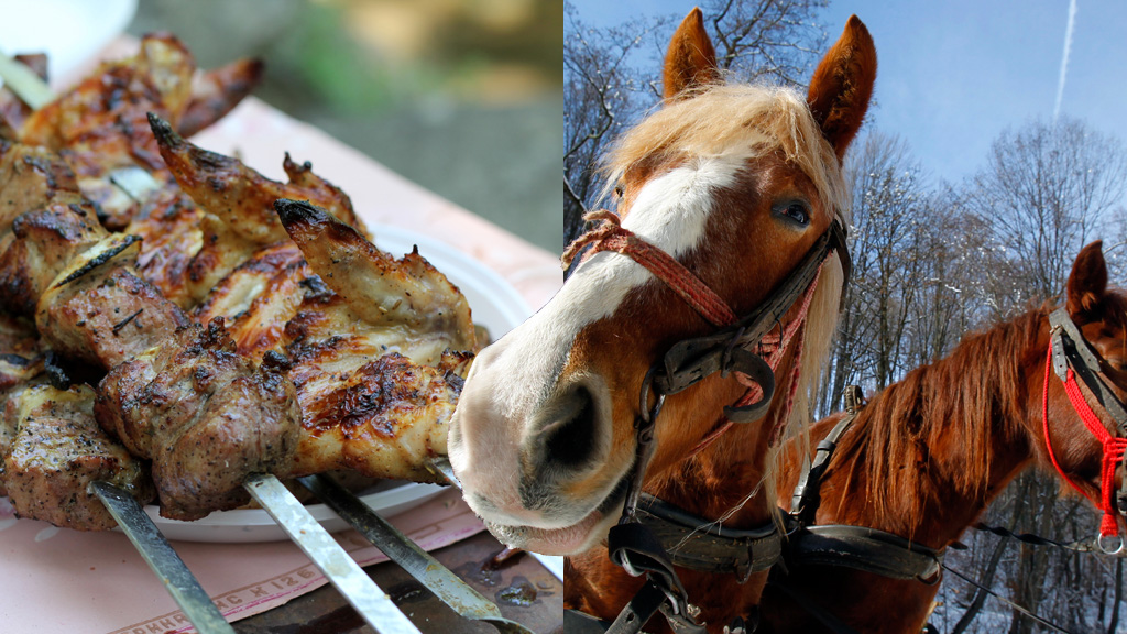 The FSA is investigating two British meat plants over allegations horsemeat was found in meat for kebabs (pictures: Reuters and Getty)