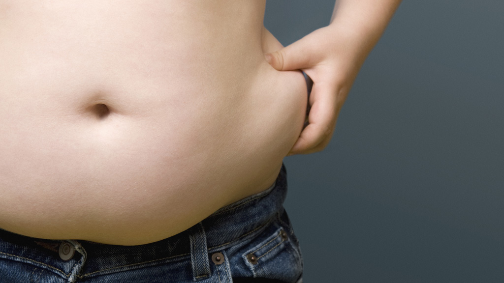 As the country faces the 'greatest health crisis' due to rising obesity, the head of the UK's obesity forum recommends obese children be offered stomach surgery (picture: Getty)