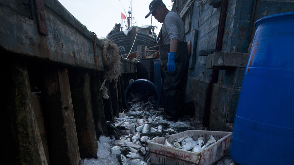 Mackerel fishermen (getty)