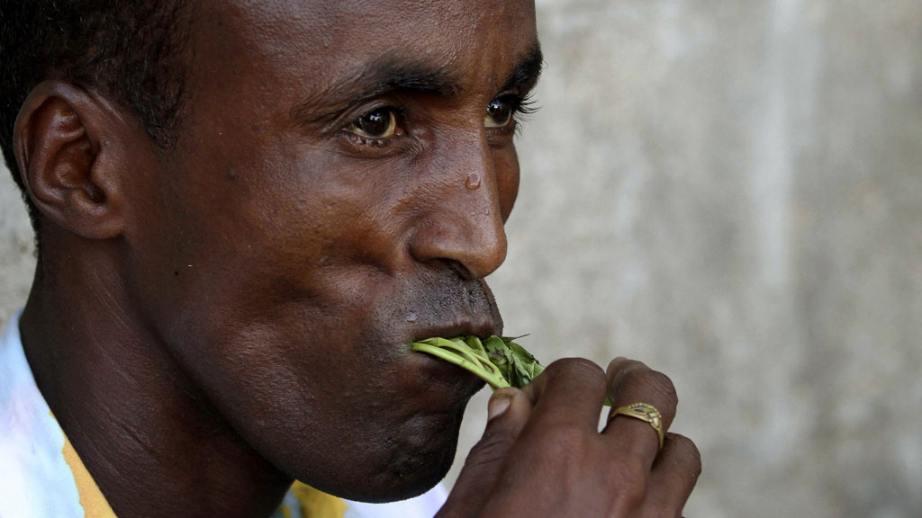 Following a well-targeted campaign, the UK government has banned khat, a stimulant drug widely used by members of east African communities in the UK.