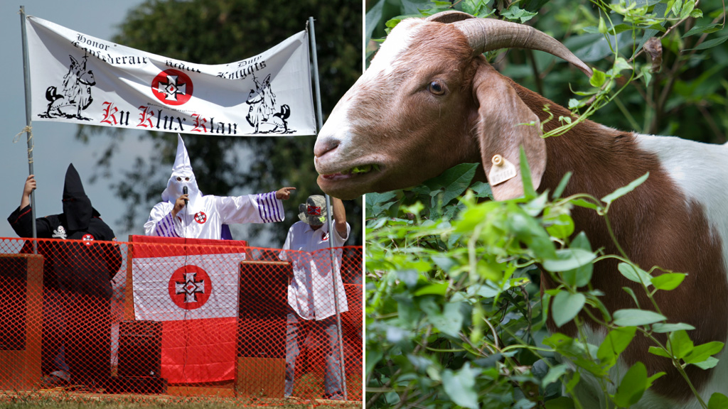 Those affected by the US shutdown include goats and members of the KKK (pictures: Getty)