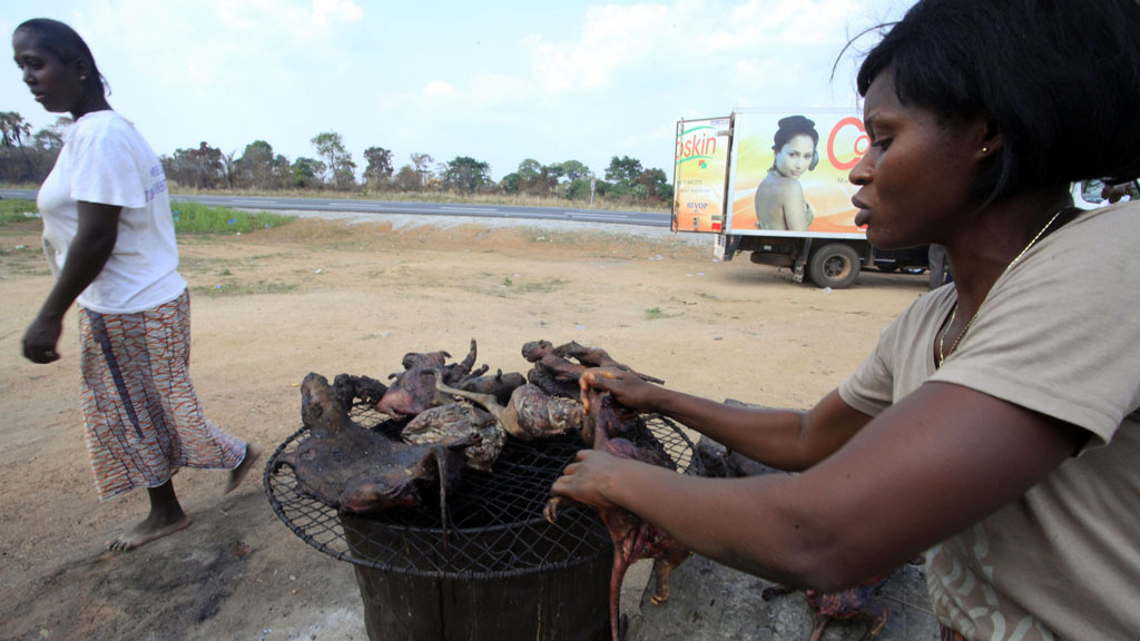 Bush meat on sale in Guinea (Reuters)