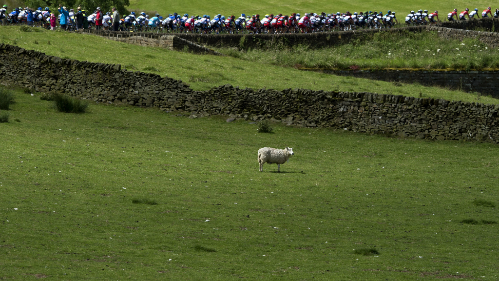 Tour de France: riders sweep through the Yorkshire Dales. (Getty)