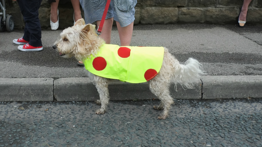 Ilkley's spotty dog for Tour de France. (Getty)