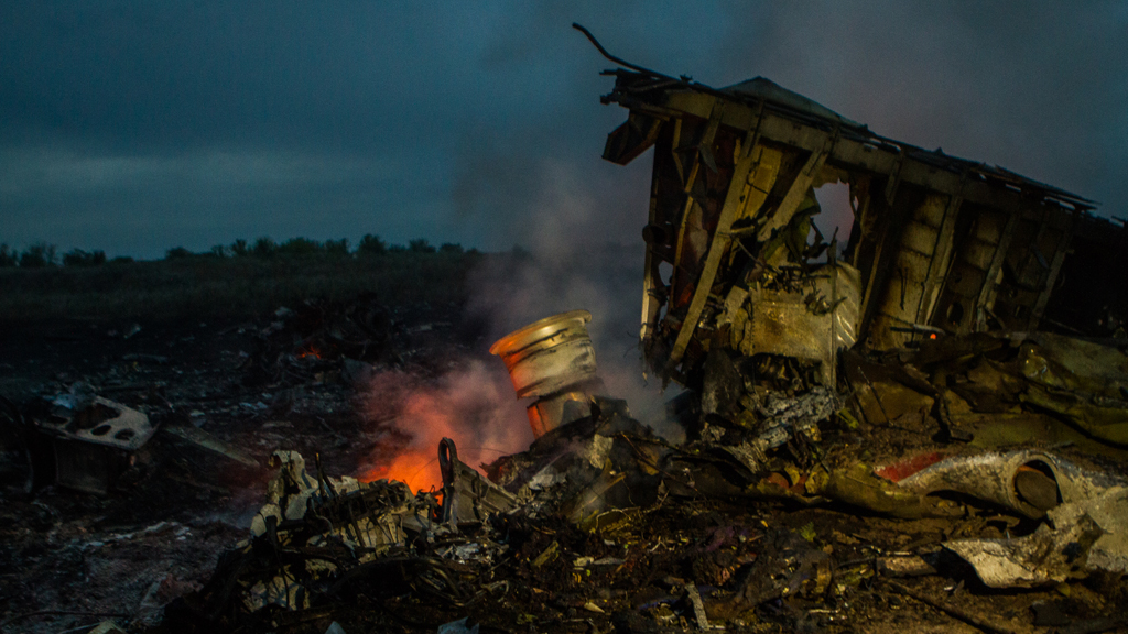 MH17 crash site (Anton Skyba)