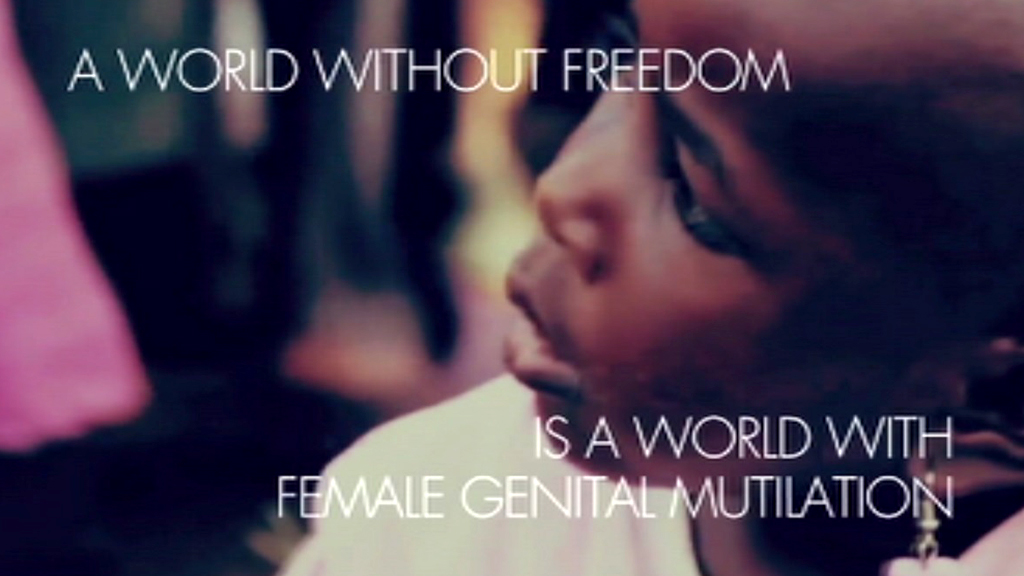 Female genital mutilation (FGM) survey