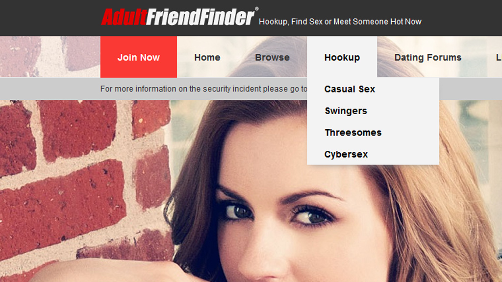 Adult Friend Finder website home page