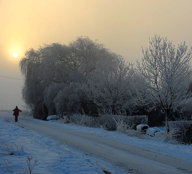 UK weather: freezing conditions in the south, snow in the north (Image: Reuters)