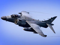 2010 loser: Harrier Jump Jet. (Reuters)