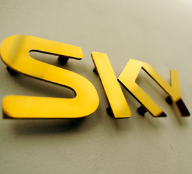 Government plans competition inquiry over BSkyB bid
