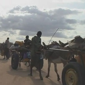 Somali families on the roasd to Dadaab