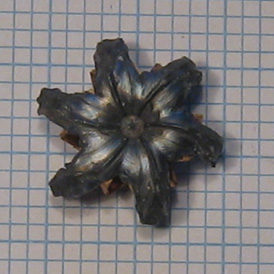 A hollow point bullet after impact