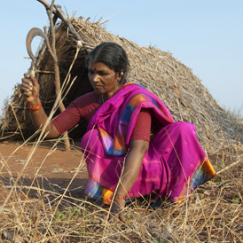 A village in Andhra Pradesh where a women's group is cultivating the land with Christian Aid support.
