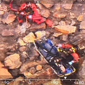 Man and dog survive 200ft cliff fall 