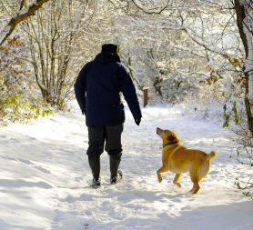 Man walks a dog in UK snow