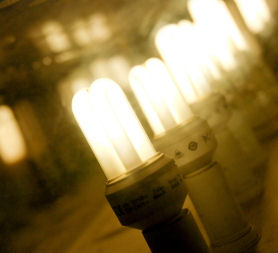Energy saving lightbulbs. (Getty)