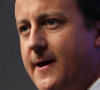 Conservative leader David Cameron (credit:Reuters)