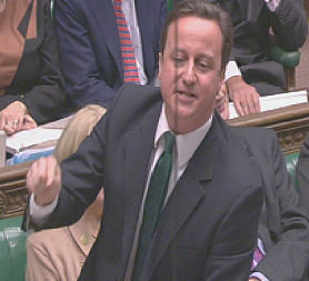 David Cameron at prime minister&apos;s questions on 10 February 2010.