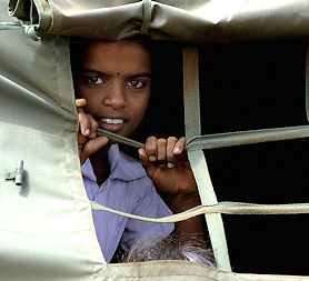 Tamil refugee camp (credit: Getty images)