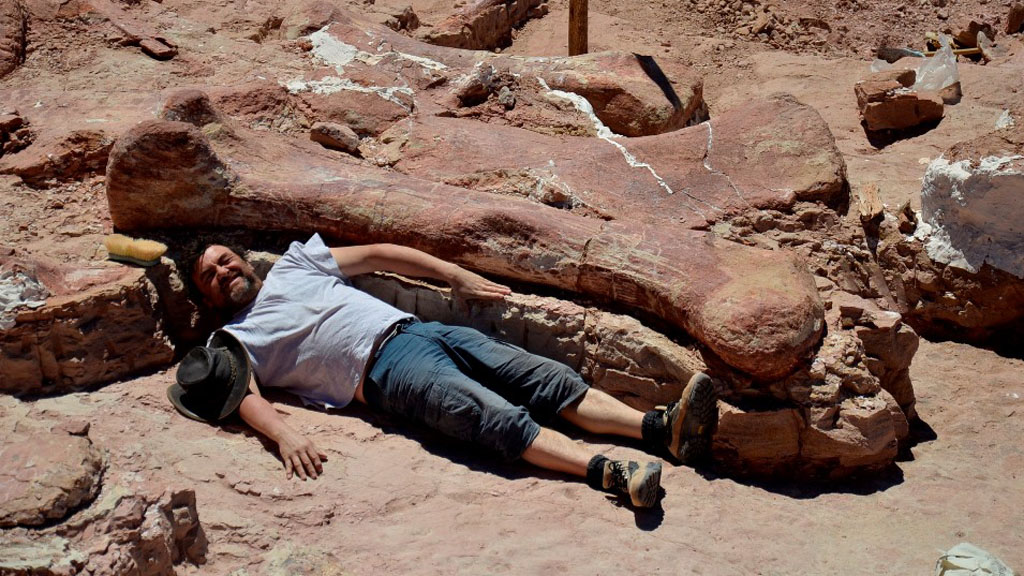 World's 'largest dinosaur' unearthed in Argentina – Channel 4 News