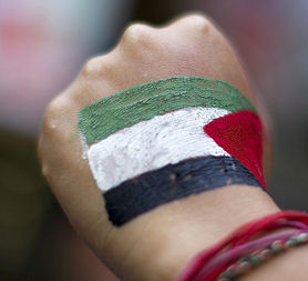 Gaza protester (Reuters)