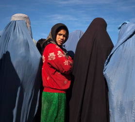 A record number of women are fighting seats in this year&apos;s Afghanistan elections